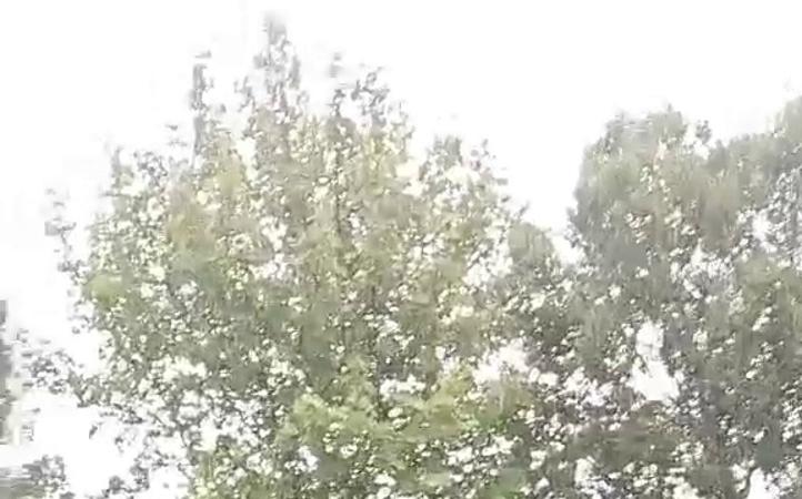 東莞玻璃鋼電纜橋架規格